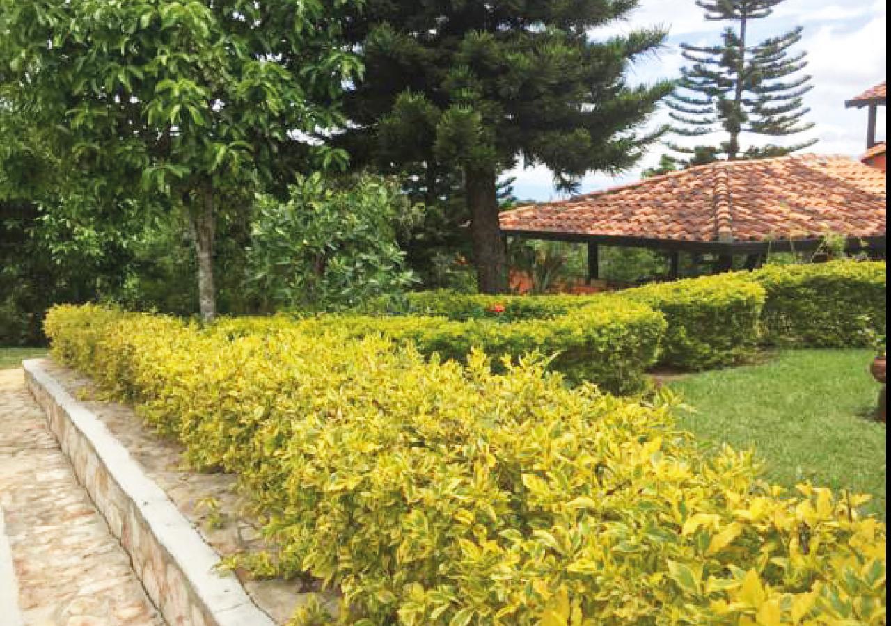 Hotel Cristo Rey Campestre Los Santos  Kültér fotó